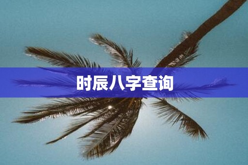 时辰八字查询