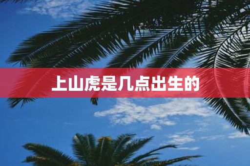上山虎是几点出生的
