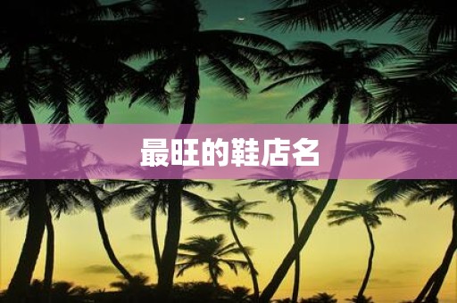 最旺的鞋店名