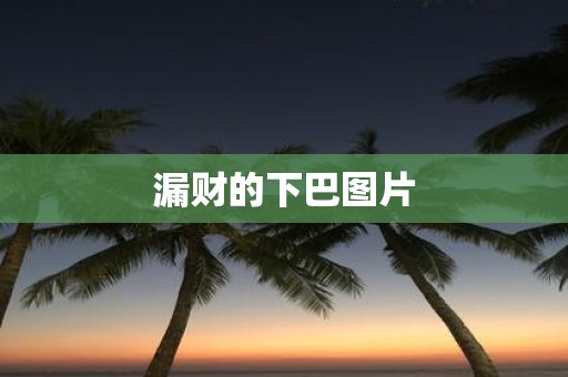 漏财的下巴图片