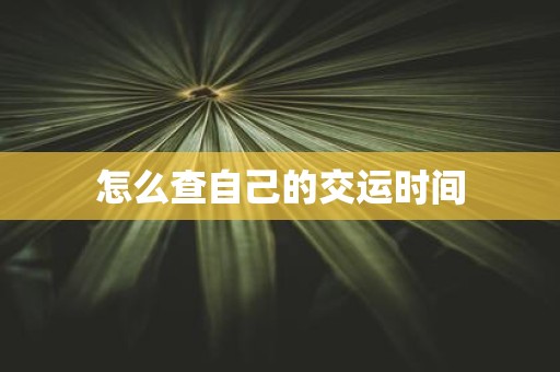 怎么查自己的交运时间