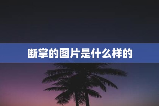 断掌的图片是什么样的