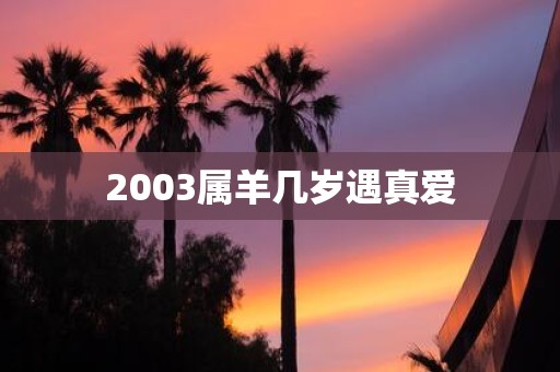 2003属羊几岁遇真爱