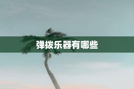 弹拨乐器有哪些