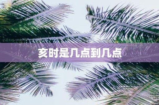 亥时是几点到几点