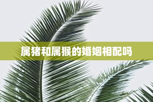 属猪和属猴的婚姻相配吗