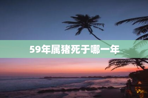 59年属猪死于哪一年