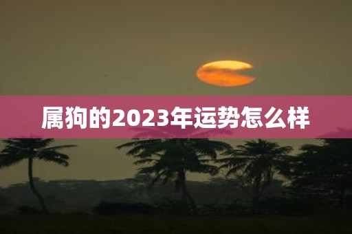 属狗的2025年运势怎么样