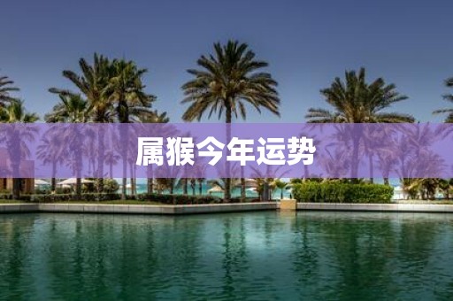属猴今年运势