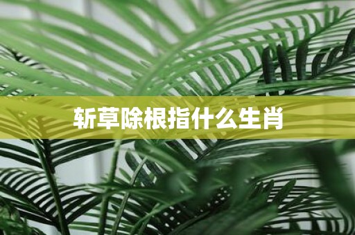 斩草除根指什么生肖
