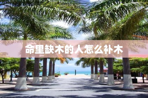 命里缺木的人怎么补木