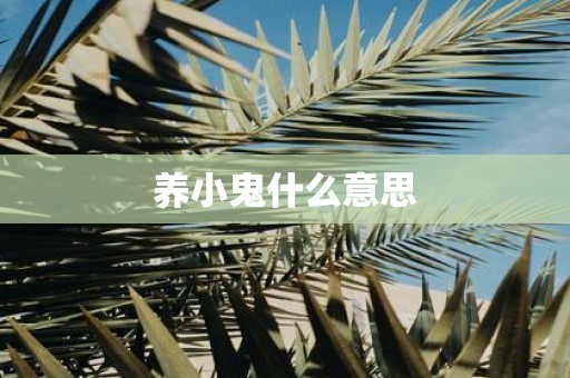 养小鬼什么意思