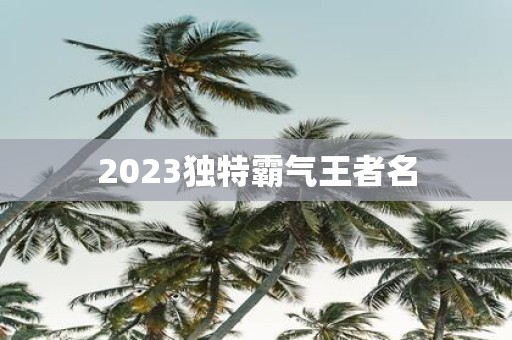 2025独特霸气王者名