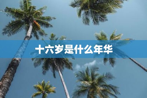 十六岁是什么年华