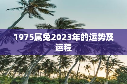 1975属兔2025年的运势及运程