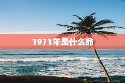 1971年是什么命