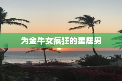 为金牛女疯狂的星座男