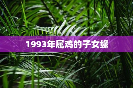 1993年属鸡的子女缘
