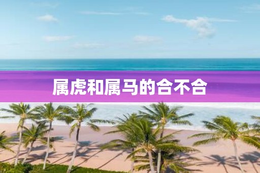 属虎和属马的合不合