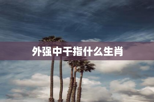外强中干指什么生肖