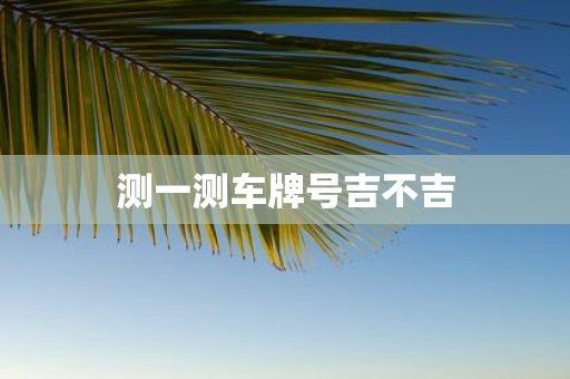 测一测车牌号吉不吉