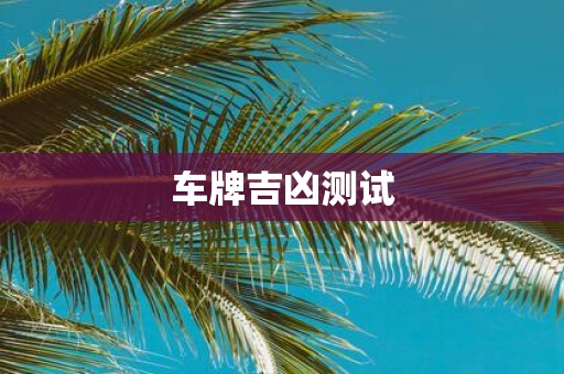 车牌吉凶测试