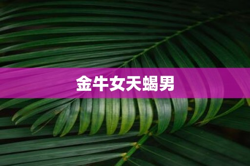 金牛女天蝎男