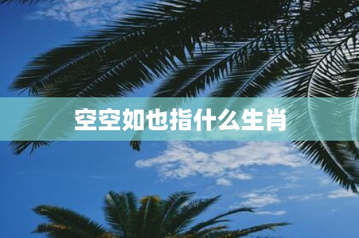 空空如也指什么生肖