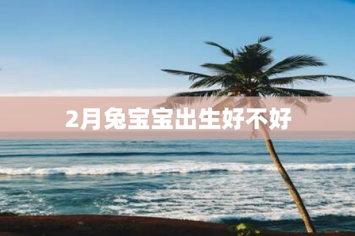 2月兔宝宝出生好不好