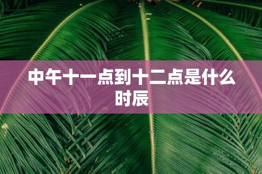 中午十一点到十二点是什么时辰