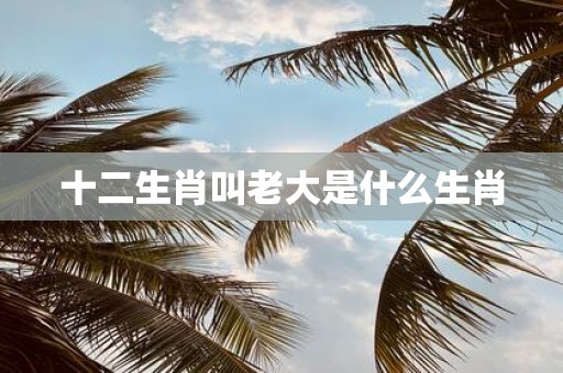 十二生肖叫老大是什么生肖