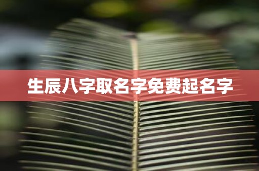 生辰八字取名字免费起名字
