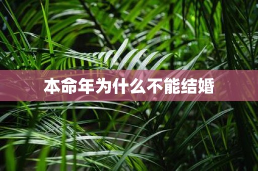本命年为什么不能结婚