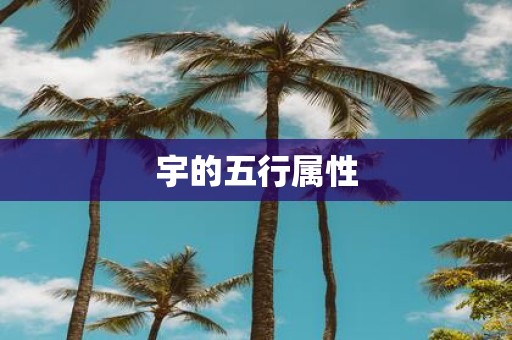 宇的五行属性