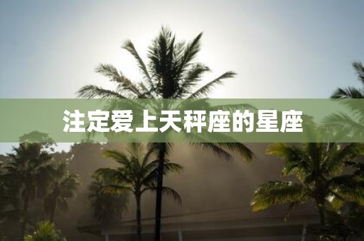 注定爱上天秤座的星座