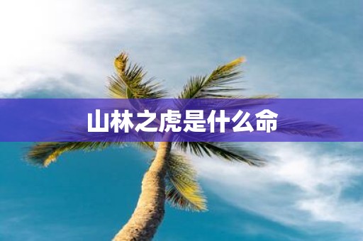 山林之虎是什么命