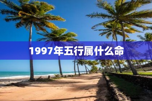 1997年五行属什么命