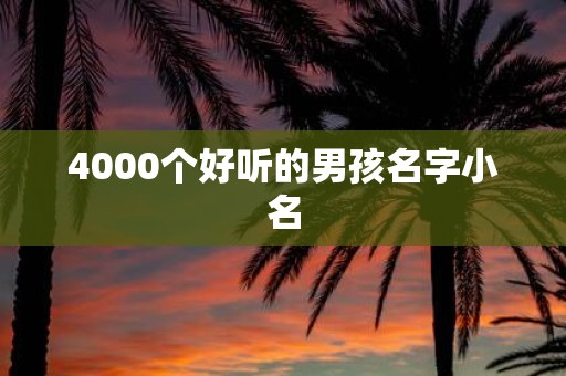 4000个好听的男孩名字小名