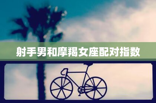 射手男和摩羯女座配对指数
