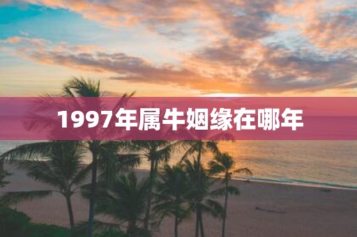 1997年属牛姻缘在哪年