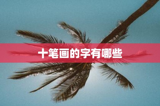 十笔画的字有哪些