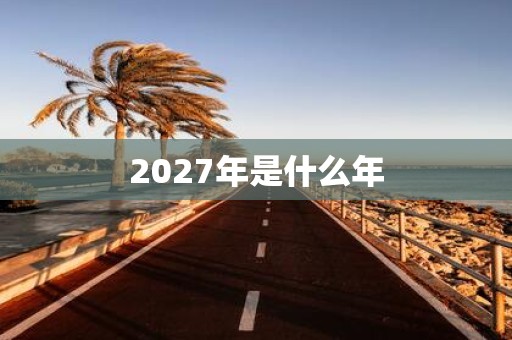2027年是什么年