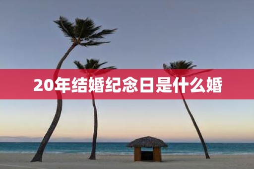 20年结婚纪念日是什么婚
