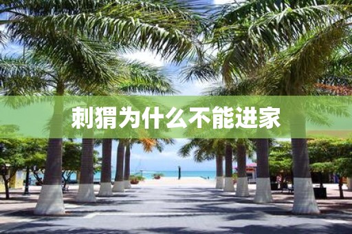 刺猬为什么不能进家