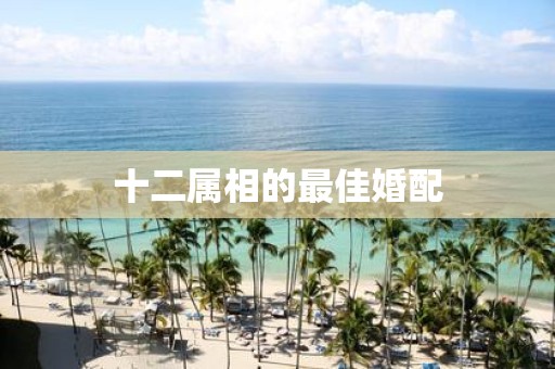 十二属相的最佳婚配