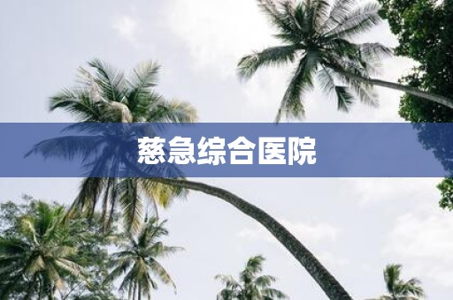 慈急综合医院