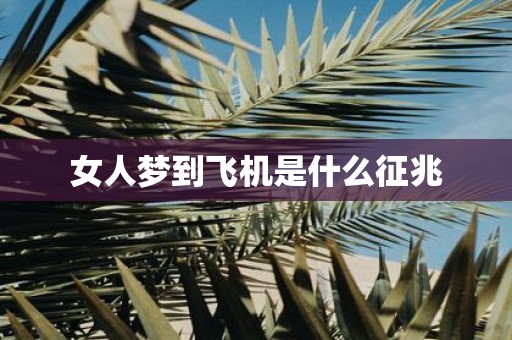 女人梦到飞机是什么征兆