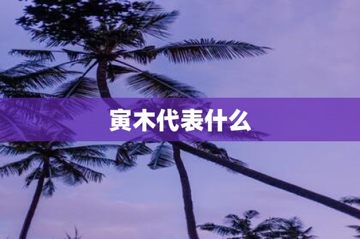 寅木代表什么