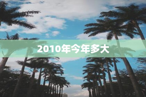 2010年今年多大
