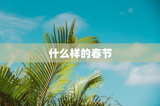 什么样的春节